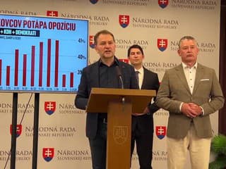TK Hnutia Slovensko na tému: Kauza Šimečkovcov potápa celú opozíciu