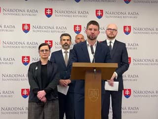 TK strany PS na tému: Odpoveď Progresívneho Slovenska prezidentovi Petrovi Pellegrinimu