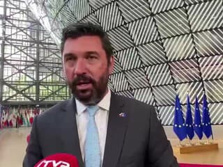Takáč na Rade EÚ o výskyte škodcu krasoňa jaseňového v SR a v Maďarsku