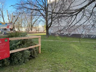 Obyvatelia Bratislavy môžu využiť drevené ohrádky OLO určené pre zber vianočných stromčekov