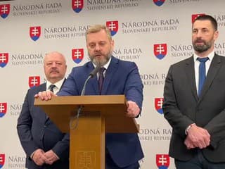 Tlačová konferencia strany SaS na tému Miliardový biznis v rezorte obrany