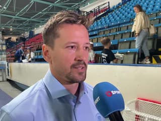 Tréner Nitry Erik Čaládi po prehre s Växjö Lakers v Lige majstrov