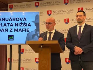 Tlačová konferencia strany SaS: Januárová výplata nižšia o daň z mafie
