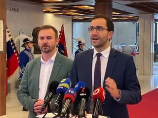 Tlačová konferencia Hnutia Slovensko: Reakcia na Denisu Sakovú po incidentoch na železniciach