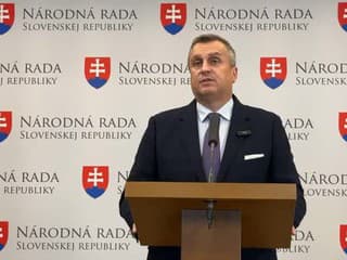 Tlačová konferencia predsedu SNS Andreja Danka.