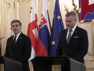 Je suverénnym rozhodnutím ktorejkoľvek krajiny, ako vidí svoju budúcnosť v rámci európskej perspektívy, uviedol Pellegrini