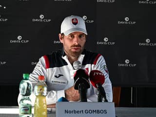 TENIS-DC: N. Gombos: Škoda tajbrejku, Tsitsipas veľké šance nepustil