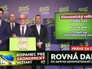 Branislav Gröhling ohlásil nový ekonomický program strany SaS