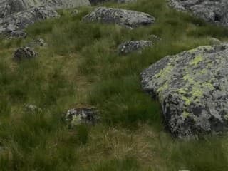 HZS Nočný zásah na skalnej stene