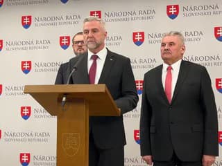 Tlačová konferencia strany Smer-SD na tému: Podozrenia z progresívnych subvenčných podvodov