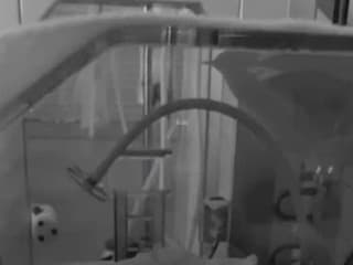 Martina Grešová ukázala zábery z pôrodnice