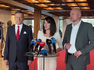 Tlačová beseda v NR SR: Sme rodina a Sulíkovci o spolupráci v parlamente