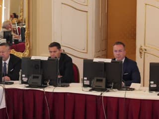 Zasadnutie Hospodárskej a sociálnej rady SR