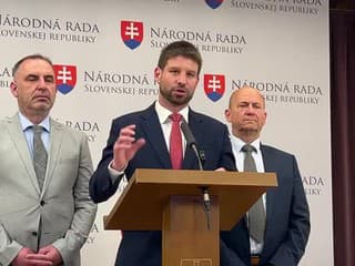 Tlačová konferencia strany Progresívne Slovensko k aktuálnym témam