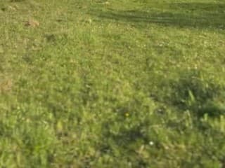 Nehoda štvorkolky na Sekaninách si vyžiadala zranenie vodiča