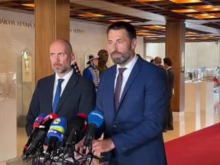 Vyjadrenie SaS na predstavené “prorastové” opatrenia