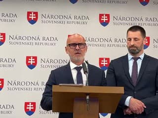 Tlačová beseda strany SaS k aktuálnej politickej situácie