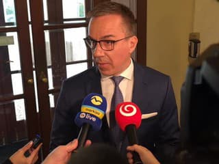 Erik Tomáš pred rokovaním vlády