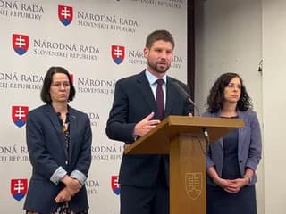 PS: T. Gašpar nemôže reprezentovať parlament ako jeho podpredseda