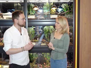SuperZverinec odhaľuje tajomstvá chameleónov: Čo potrebujú pre šťastný život v teráriu?