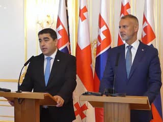 Predseda parlamentu Gruzínska Šalva Papuašvili po stretnutí s Rašim