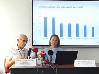 Počet liečených užívateľov drog v SR narástol o vyše 12 %