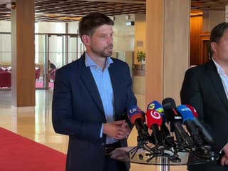 PS chce, aby súčasťou politickej zmeny bola aj Maďarská aliancia