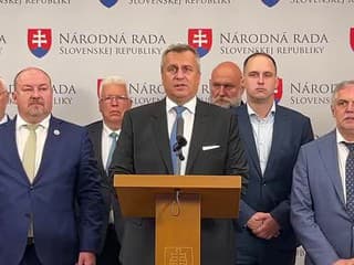 Strana SNS o aktuálnej politickej situácii