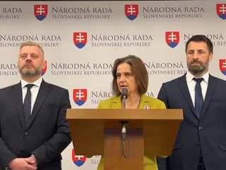 TK strany SaS na tému: Doživotná renta pre Žilinku a veto prezidenta