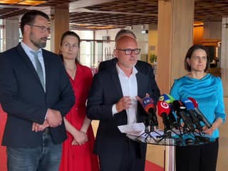 Tlačová konferencia strany SaS k akutálne politickej situácii