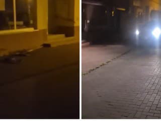 V nočných uliciach Michaloviec vyčíňal opitý muž, ktorý dopravnou značkou rozbíjal prakticky všetko