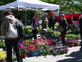 Flóra Fest na Námestí slobody