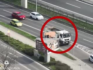 Po Moste SNP v Bratislave jazdil napriek zákazu domiešavač s 30,9 tony