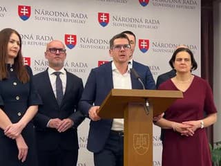 Tlačová konferencia strany SaS