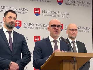 Tlačová konferencia strany SaS k aktuálnej politickej situácii