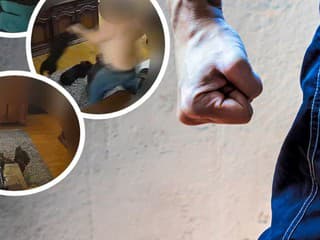 Muž doma týral rodinu a svoje psy, celý prípad začala riešiť polícia