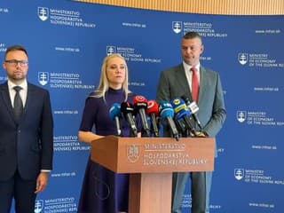 Tlačová konferencia Denisy Sakovej k zabezpečeniu dodávok plynu na nadchádzajúcu zimnú sezónu