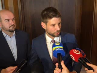 Michal Šimečka reaguje na vykázanie šéfky klubu PS Zuzany Mesterovej