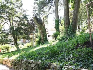 Kochova záhrada počas Víkendu otvorených parkov a záhrad v Bratislave