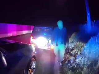 Policajti našli v aute jelenicu.