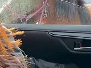 Netradičný účastník cestnej premávky