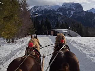 Správa TANAP-u sprístupní návštevníkom zvernicu v Tatranskej Javorine