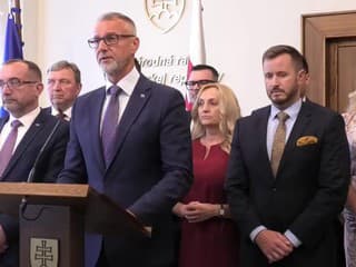 Hlas opätovne predloží návrh k referendu o predčasných voľbách