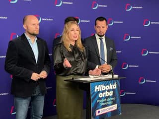 Znepokojená politička Šubová tvrdí, že policajti sa jej počas zásahu prehrabávali aj v spodnej bielizni