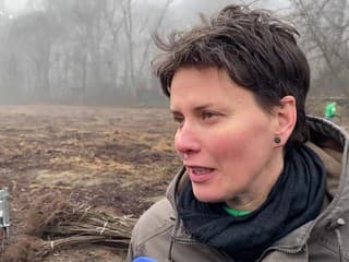 Ochranári vysadili v lužných lesoch pri obci Číčov 600 nových pôvodných drevín