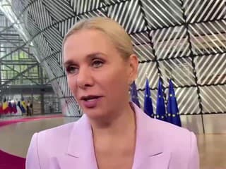 Slovensko ponúka EÚ skúsenosti z testovania a puzdrenia pri výrobe čipov, tvrdí Saková