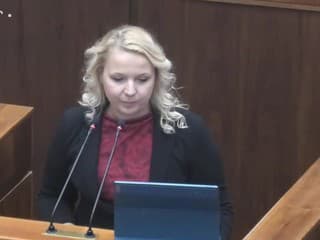 Plénum rieši audit z dielne MF: Zistilo sa porušenie finančnej disciplíny u šiestich prijímateľov grantov a dotácií