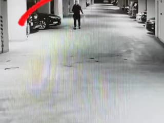 Polícia na záberoch z bezpečnostnej kamery prichytila podpaľača Tesly
