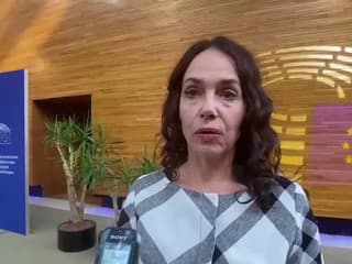 M. Lexmann o aktualizácii zoznamu škodlivých látok na ochranu zamestnancov v EÚ