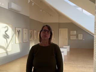 Výstava výtvarníka Igora Kalného Nič než umelec v Trenčíne